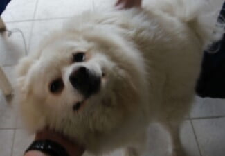 IMG 0047c