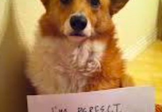 Screen Shot 2018 11 11 at 17.54.54