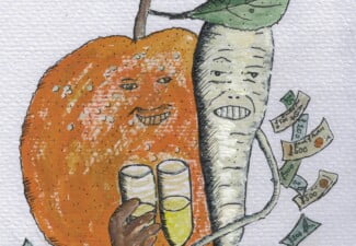 orange and parsnip