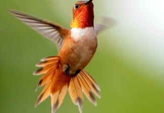 pexels frank cone 2629372 scaled