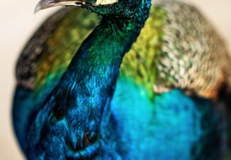 pexels tim mossholder 6072468 scaled